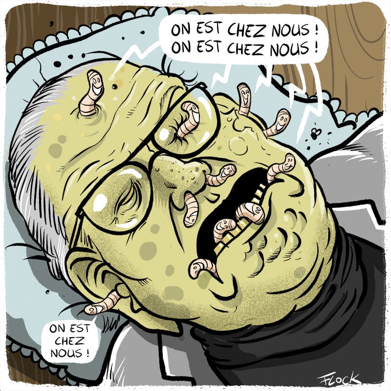 Dans le gentil dessin de Flock on voit la tête de Jean-Marie Le Pen allongé sur son lit de mort avec des vers qui lui sortent de la peau et qui fièrement hurlent son fameux slogan "On est chez nous ! On est chez nous ! On est chez nous !"